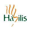DevHabilis logo